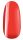 PearLac One Step Color 204. 7ml